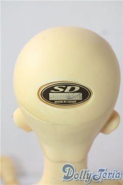 画像4: SD13/教室Cヘッド(刻印:43番)Ciera様メイク  U-25-10-28-217-TN-ZU