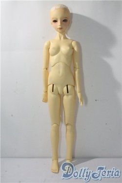 画像6: SD13/教室Cヘッド(刻印:43番)Ciera様メイク  U-25-10-28-217-TN-ZU