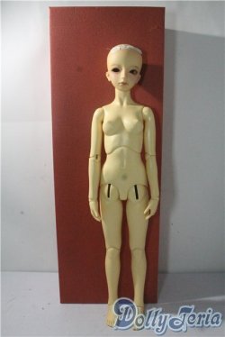 画像8: SD13/教室Cヘッド(刻印:43番)Ciera様メイク  U-25-10-28-217-TN-ZU