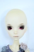 dollchateau/Matthewヘッド+K-Body-11 Y-25-11-05-002-TN-ZY