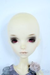 dollchateau/Matthewヘッド+K-Body-11 Y-25-11-05-002-TN-ZY