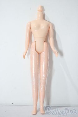 画像1: ネオブライス/ボディ A-25-11-05-1078-TN-ZU