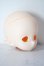 画像3: IMOMODOLL/1/6 Toppi Cream Skin A-25-11-05-1090-TN-ZU (3)