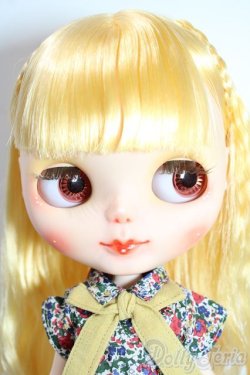 画像2: カスタムブライス/本体 A-25-11-05-1097-TN-ZU