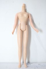 ネオブライス/ボディ A-25-11-05-1076-TN-ZU