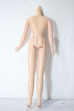 画像2: ネオブライス/ボディ A-25-11-05-1076-TN-ZU