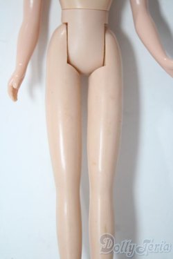 画像3: ネオブライス/ボディ A-25-11-05-1076-TN-ZU