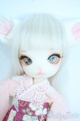 【DOLK×DOLLZONE】Mini Kitty -Happy New Year 2020- Y-25-11-05-009-TN-ZY