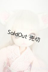 【DOLK×DOLLZONE】Mini Kitty -Happy New Year 2020- Y-26-02-11-297-TN-ZY