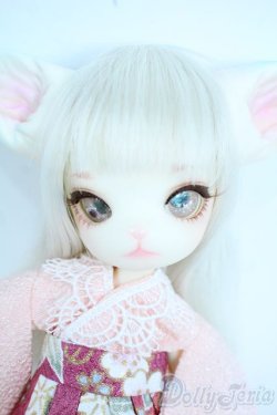 画像1: 【DOLK×DOLLZONE】Mini Kitty -Happy New Year 2020- Y-25-11-05-009-TN-ZY