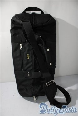 画像1: MSD(SDM)/ボークス製キャリングケース・ミニ U-25-11-12-205-TN-ZU