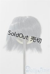 5inch/ウィッグ A-25-11-12-1016-TN-ZU