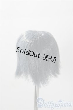 画像2: 5inch/ウィッグ A-25-11-12-1016-TN-ZU