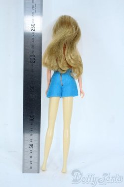 画像3: ジェニー/本体+衣装セット Y-25-11-05-153-TN-ZY