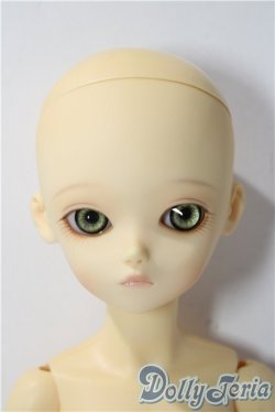 画像2: BlueFairy/TF:Olive A-25-11-12-1045-TN-ZU