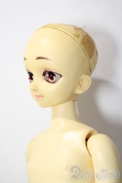 画像3: MSD/マギー U-25-11-05-213-TN-ZU