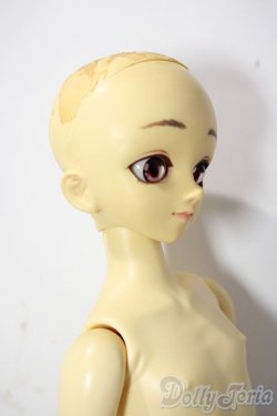 画像4: MSD/マギー U-25-11-05-213-TN-ZU