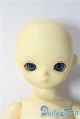 LEEKE WORLD/JOY A-25-11-12-1035-TN-ZU