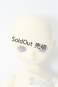 LEEKE WORLD/JOY A-25-11-12-1035-TN-ZU