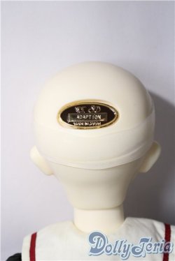 画像7: SD/アダプションモデル:F-55 U-25-11-12-220-TN-ZU