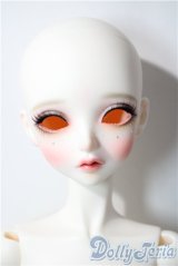 【DOLK×Peak’s Woods】/FOC Goldie - Beautiful Kitty ver. Limited A-25-12-24-1099-TN-ZU