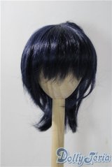 8-9inch/ウィッグ A-25-11-12-1090-TN-ZU