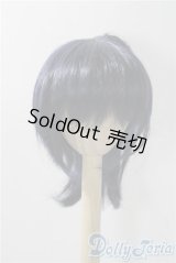 8-9inch/ウィッグ A-25-11-12-1090-TN-ZU