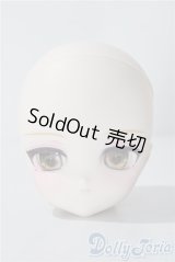 DDH-027/カスタムヘッド A-25-11-12-1099-TN-ZU