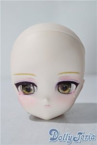 DDH-027/カスタムヘッド A-25-11-12-1099-TN-ZU