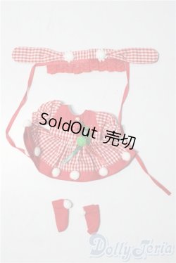 画像1: RosenLied/OF:Mondaysサイズ 衣装セット A-25-11-26-1090-TN-ZU