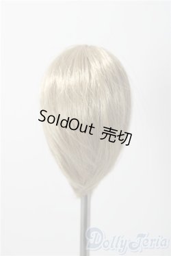 画像2: 4.5inch/ウィッグ A-25-11-26-1085-TN-ZU