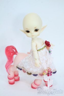 画像2: LUTS/TINYDELF：centaur Y-25-11-19-084-TN-ZY