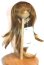 画像1: 7-8inch/ウィッグ/インチ　BJD　MJD　ドール用 U-26-07-08-238-TN-ZU (1)