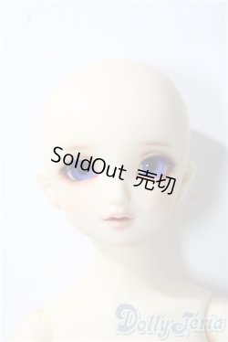 画像1: MSD女の子/コーディネートモデル：F-05 U-25-11-26-214-TN-ZU