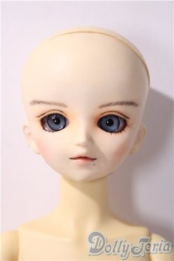 画像1: MSD/スタンダードモデル健 U-25-11-26-213-TN-ZU