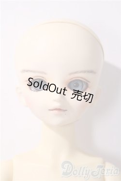 画像1: MSD/スタンダードモデル健 U-25-11-26-213-TN-ZU