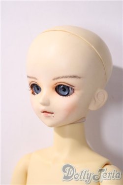 画像2: MSD/スタンダードモデル健 U-25-11-26-213-TN-ZU