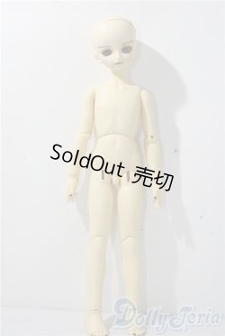 画像4: MSD/スタンダードモデル健 U-25-11-26-213-TN-ZU