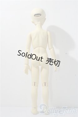画像5: MSD/スタンダードモデル健 U-25-11-26-213-TN-ZU