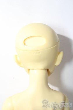 画像6: SD13女の子/教室Aヘッド U-25-12-03-213-TN-ZU