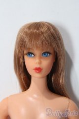 バービー/TNT バービー A-25-12-03-1089-TN-ZU