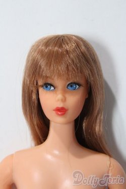 画像1: バービー/TNT バービー A-25-12-03-1089-TN-ZU