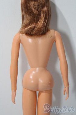 画像4: バービー/TNT バービー A-25-12-03-1089-TN-ZU