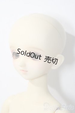 画像5: SDM女の子/コーディネートモデルF-45 U-25-12-03-218-TN-ZU
