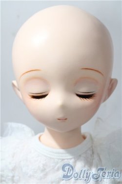 画像2: parabox乙姫 /優花 A-25-11-26-1104-TN-ZU