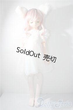 画像5: parabox乙姫 /優花 A-25-11-26-1104-TN-ZU