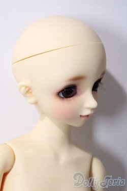 画像6: SDM女の子/F-39　コ-ディネートモデル U-25-12-03-220-TN-ZU