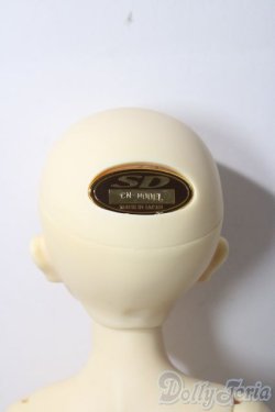 画像7: SDM女の子/F-39　コ-ディネートモデル U-25-12-03-220-TN-ZU