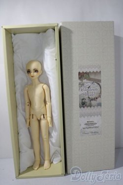 画像1: SDM/コーディネートF-30 U-25-12-03-219-TN-ZU