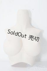DD/上半身パーツ:L胸 A-25-12-03-1069-TN-ZU